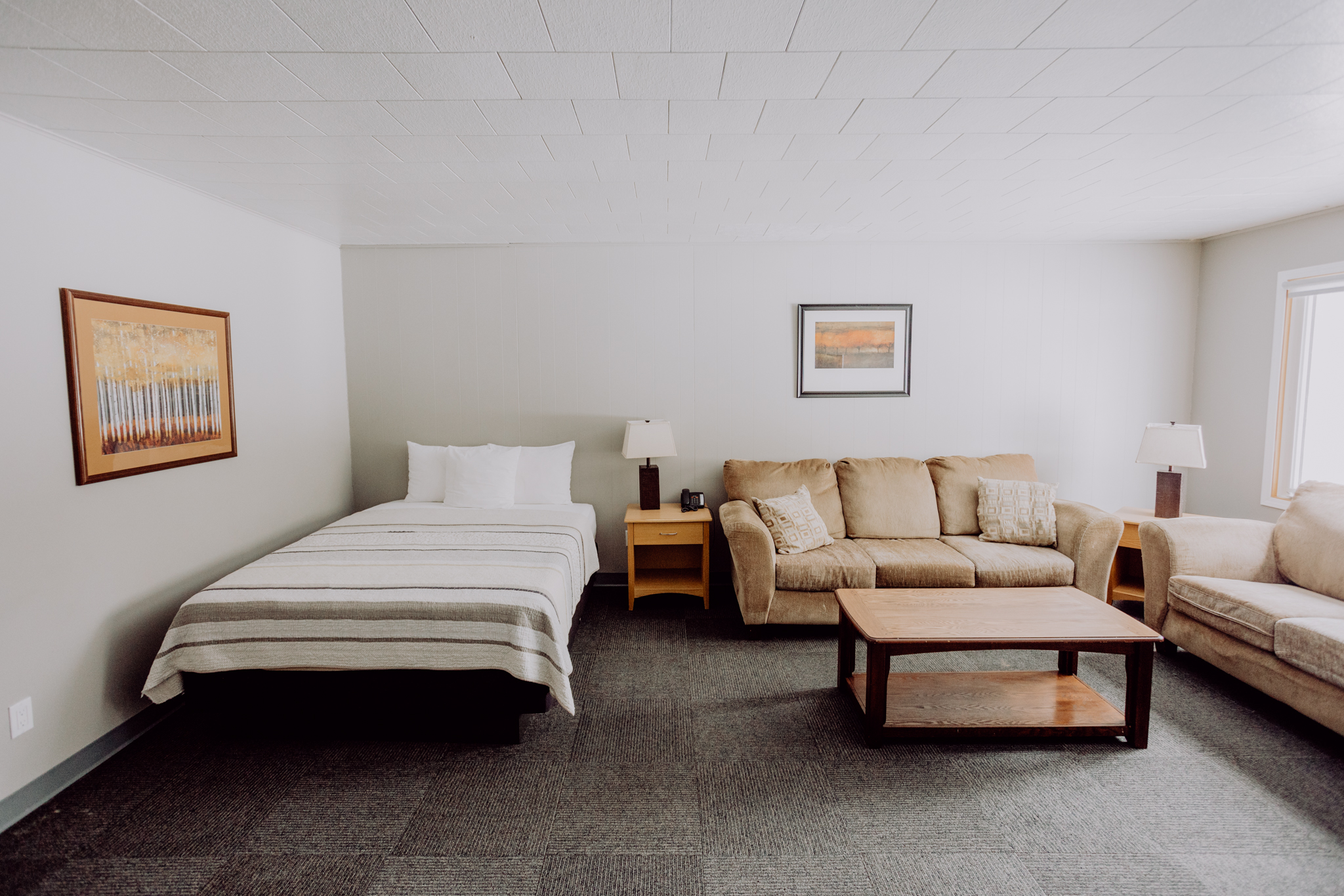 Loon's Nest 304 living